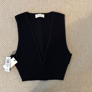 Babaton Black Ribbed Deep V Cropped Tank